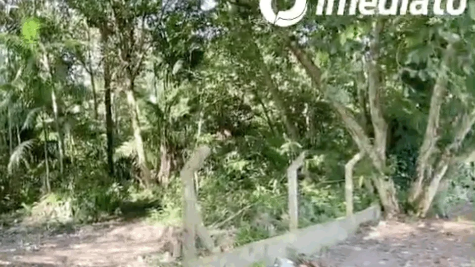 Possível corpo de homem está desaparecido na zona Leste de Manaus