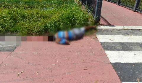 VEJA VÍDEO: ladrão discute com casal e é morto em praça no Centro de Manaus