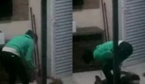 VEJA VÍDEO: Mulher é flagrada por vizinhos espancando cadela