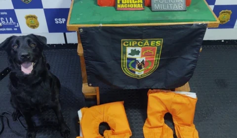 Operação apreende mais de 10 kg de drogas em embarcação