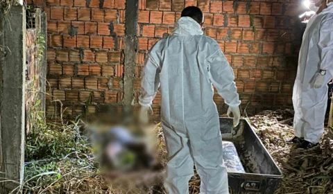 URGENTE: corpo em decomposição é encontrado  coberto por capim em terreno