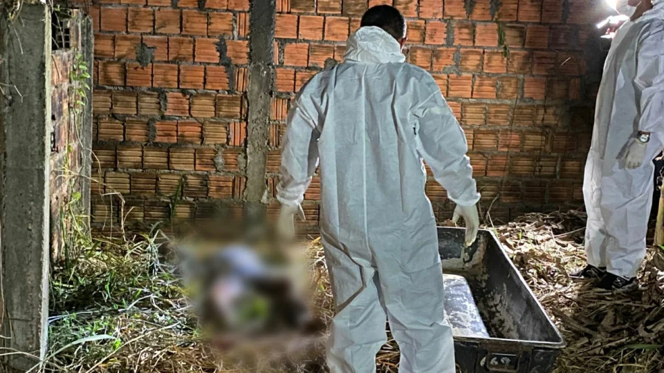 URGENTE: corpo em decomposição é encontrado  coberto por capim em terreno