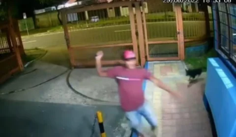 Cadela salva agente de portaria de ataque de bandido com terçado