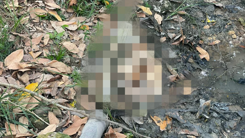 IMAGENS FORTES: Membros de corpo humano esquartejado são encontrados em caixa de isopor