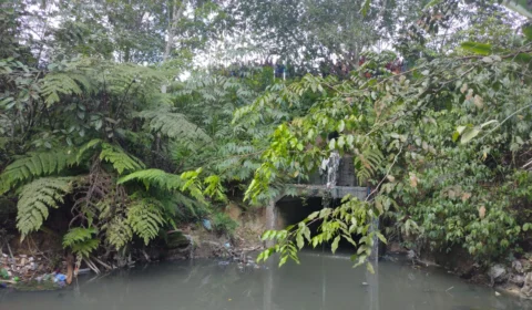 Segundo corpo que estava desaparecido em igarapé é encontrado; IMAGENS FORTES