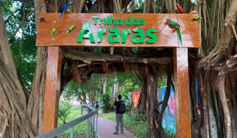 ‘Parque das Araras’ é inaugurado no bairro Praça 14