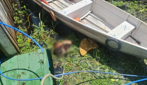 Com mãos amarradas, corpo de homem é encontrado em igarapé no Centro de Manaus