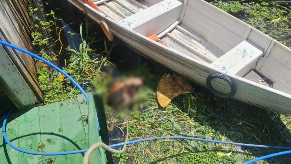 Com mãos amarradas, corpo de homem é encontrado em igarapé no Centro de Manaus