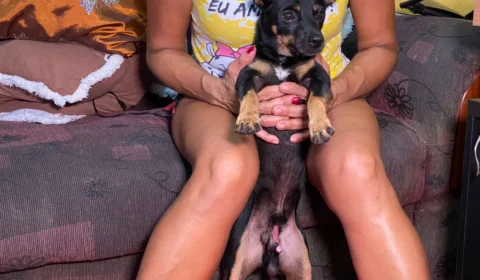 Cão ‘hermafrodita’ é abandonado pelos donos e acolhido por outra família em Manaus