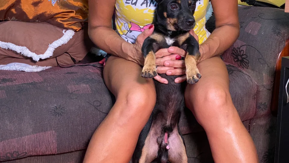 Cão ‘hermafrodita’ é abandonado pelos donos e acolhido por outra família em Manaus