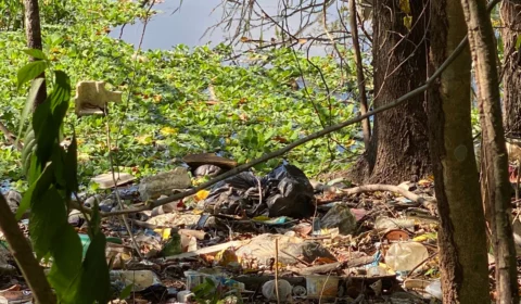 Cabeça e parte inferior do tronco de corpo são encontradas em Manaus