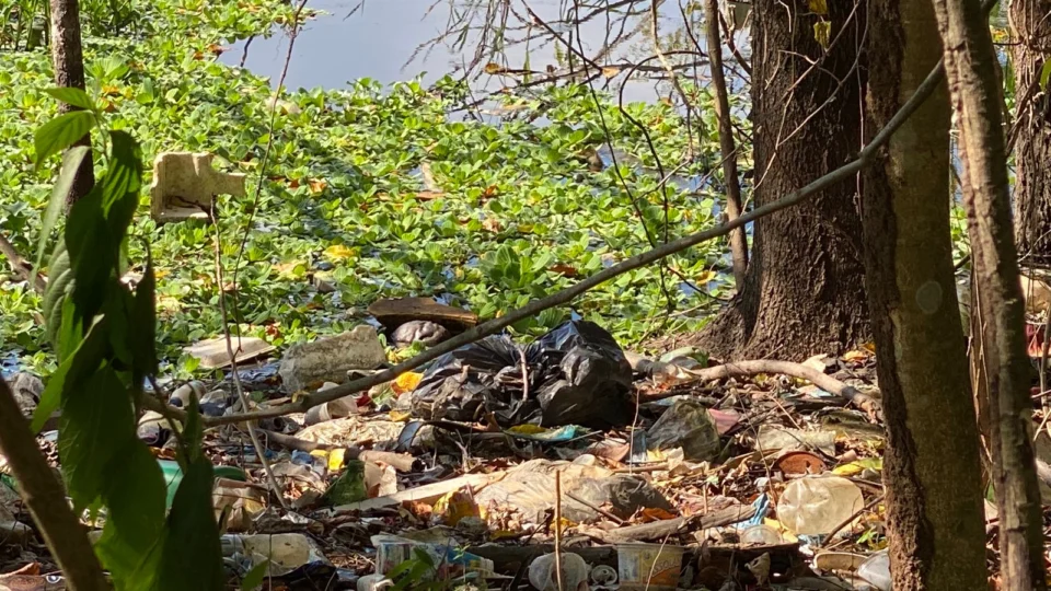 Cabeça e parte inferior do tronco de corpo são encontradas em Manaus