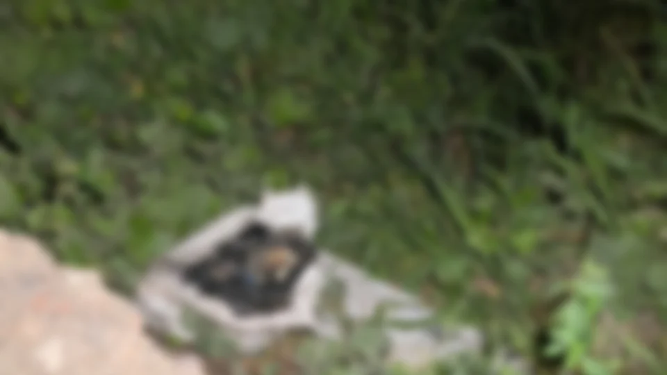 Partes de corpo esquartejado são encontrados em frente ao aterro sanitário de Manaus