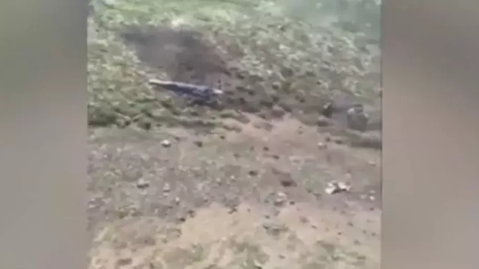 Helicóptero cai e corpos de passageiros são devorados por ursos