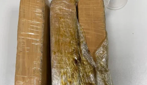 Mulher é presa ao receber drogas pelo correio