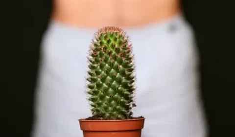 Covid provoca ereção de mais de 24 horas em adolescente; saiba os riscos