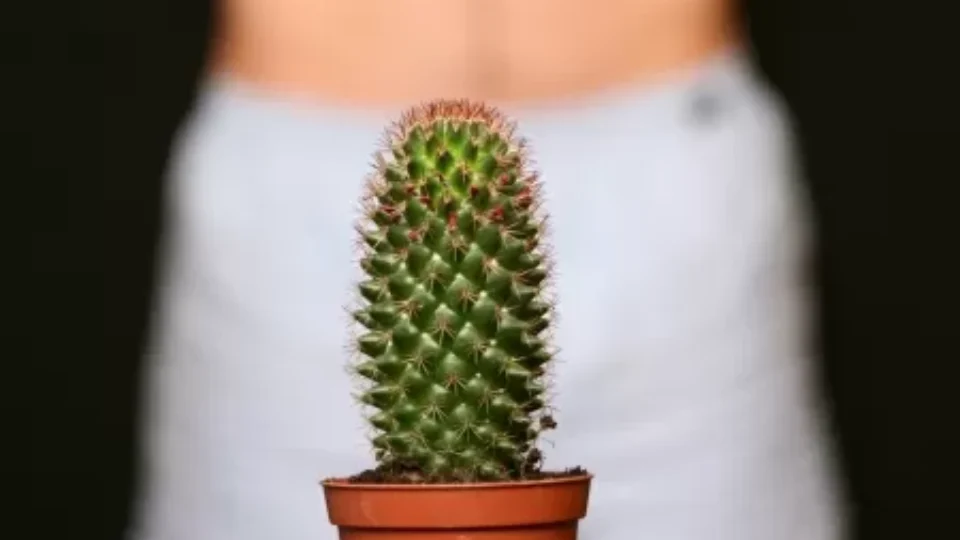 Covid provoca ereção de mais de 24 horas em adolescente; saiba os riscos