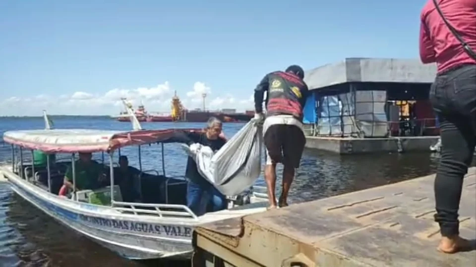 Mulher é encontrada morta atropelada na BR-319