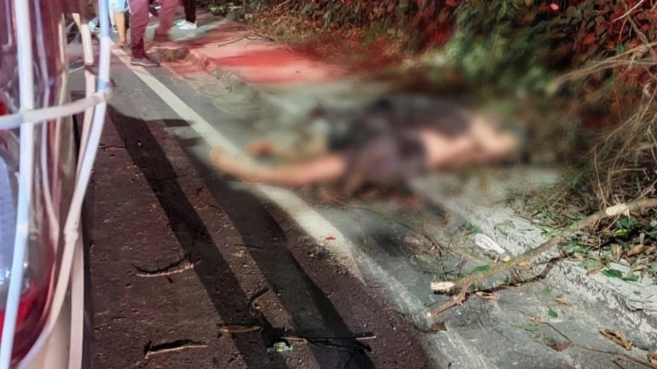 Pedestres morrem após serem atropelados por carro desgovernado