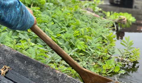 Corpo de homem aparece boiando no Centro de Manaus