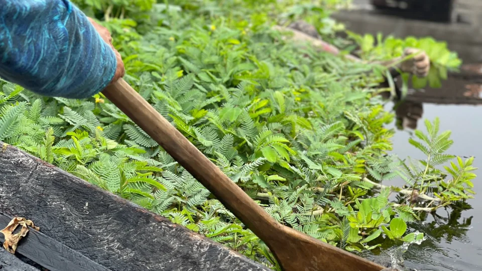Corpo de homem aparece boiando no Centro de Manaus