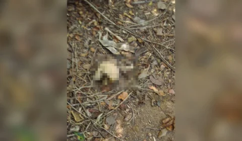 Mãe leva filho para aprender dirigir e acabam encontrando ossada humana em Iranduba