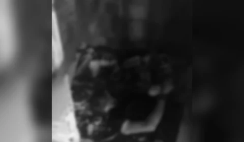 Vídeo mostra jovem sendo decapitado no Amazonas