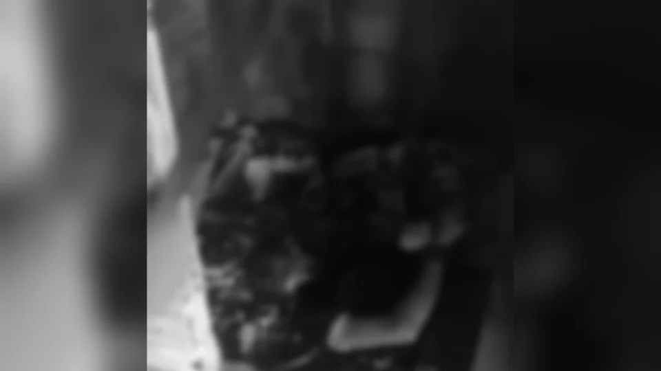 Vídeo mostra jovem sendo decapitado no Amazonas