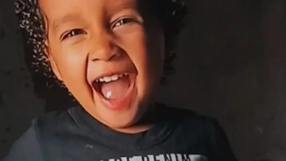 Criança de 3 anos morre ao ser atacada por cachorro da raça pitbull