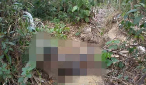 Populares encontram corpo em decomposição em área de mata no Tarumã