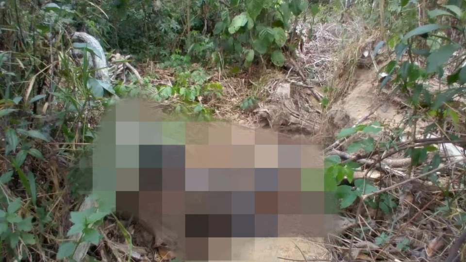 Populares encontram corpo em decomposição em área de mata no Tarumã