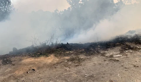 Incêndio cobre área de mata na comunidade João Paulo