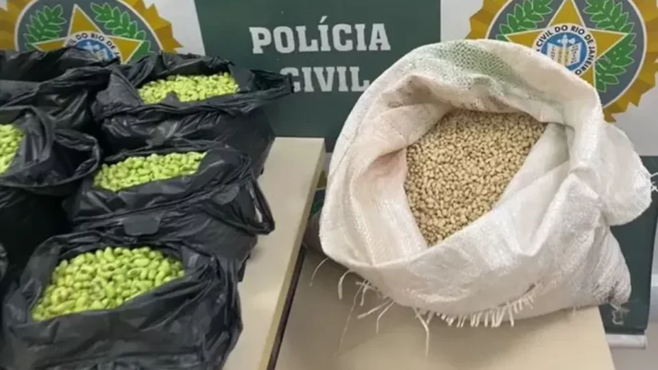 Homem é preso por pintar feijões fradinho para vender como feijões de corda