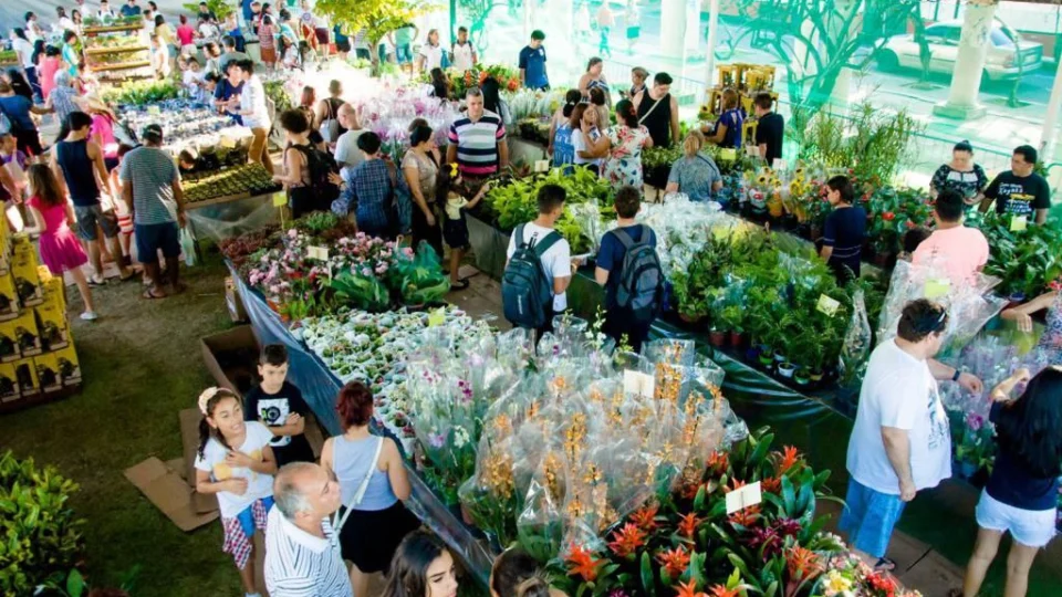 Feira de Flores de Holambra volta a Manaus; edição vai até 2 de outubro