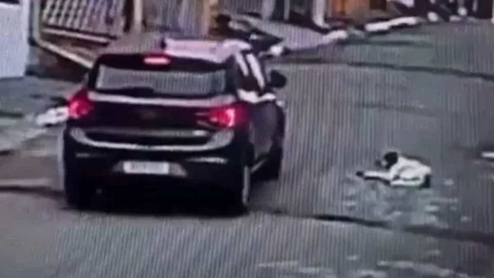 Motorista é preso após atropelar e matar cão de propósito