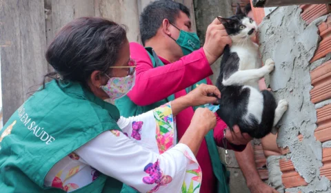 Centro de Controle de Zoonoses de Manaus vacinará animais no feriado prolongado