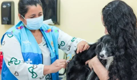 Vacinação antirrábica animal é mantida no feriado prolongado em Manaus