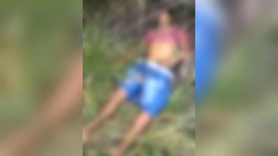 Criança e os pais morrem em grave acidente de trânsito na AM-010