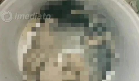 Cabeça humana é encontrada na Comunidade Jesus me Deu