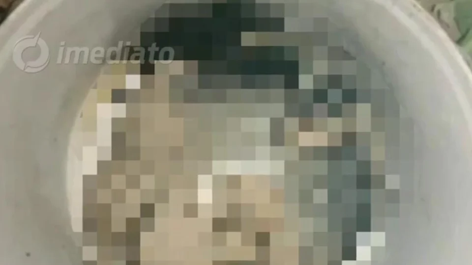 Cabeça humana é encontrada na Comunidade Jesus me Deu