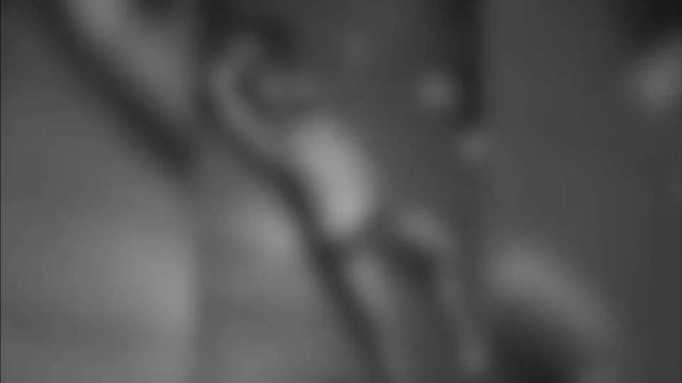 Homem tem casa invadida e é metralhado no município de Anori