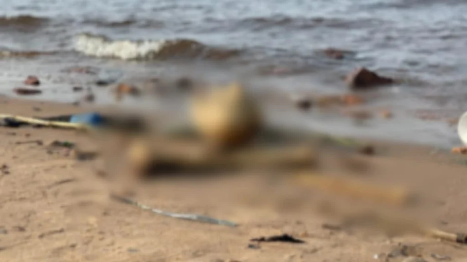 Mais uma ossada humana é encontrada em Manaus