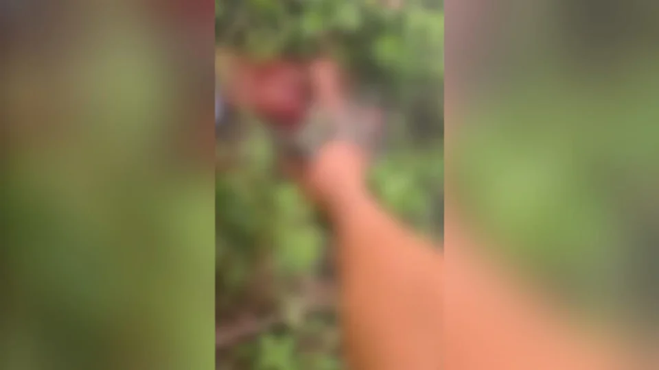 Vídeo mostra indivíduo sendo metralhado pelo ‘Tribunal do Crime’