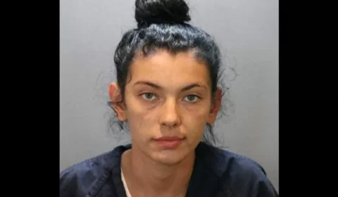 Mulher atropela e mata homem para salvar vida de gato