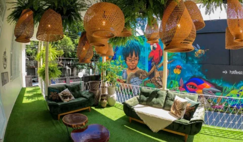 Proclamação da República: dicas para aproveitar feriado em Manaus