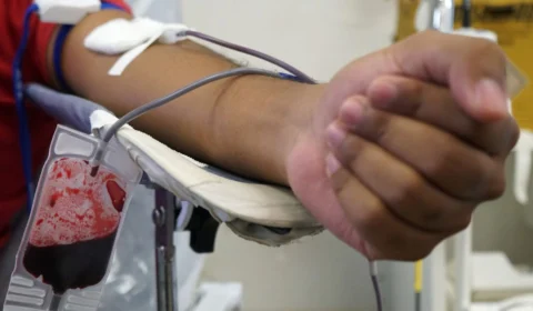 Triagem de sangue em hemocentros terá teste de malária