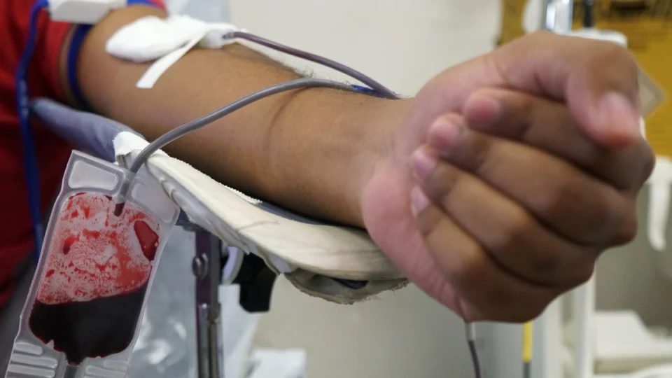 Triagem de sangue em hemocentros terá teste de malária