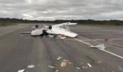 Avião cai após piloto tentar matar vespa que entrou em cabine