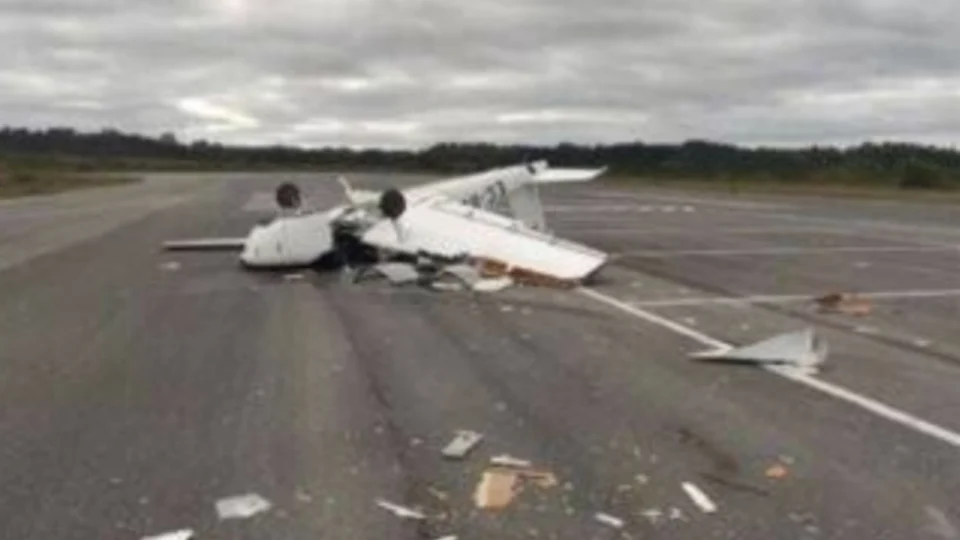 Avião cai após piloto tentar matar vespa que entrou em cabine