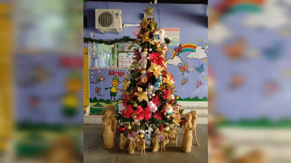 Abrigo Moacyr Alves lança Campanha “Adote um acolhido e seja o Papai Noel neste Natal”